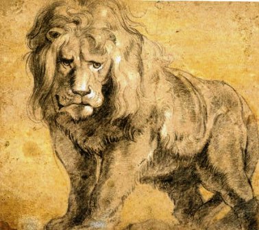 Rubens Lion